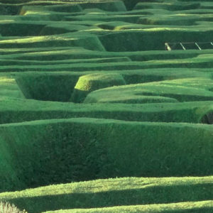 small aerialmaze reduced cropped colour