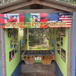 Foosball World Cup